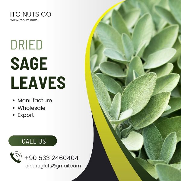 Dried Sage Leaves Wholesale