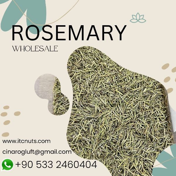 Natural products from wholesale rosemary essential oil suppliers in Izmir, Turkey, including tips on how to use dried rosemary leaves for hair growth, exploring the benefits of rosemary water on hair, discovering the rosemary and cinnamon tea benefits, understanding the rosemary oil benefits for skin, and learning about the rosemary and ginger tea benefits for wellness.
