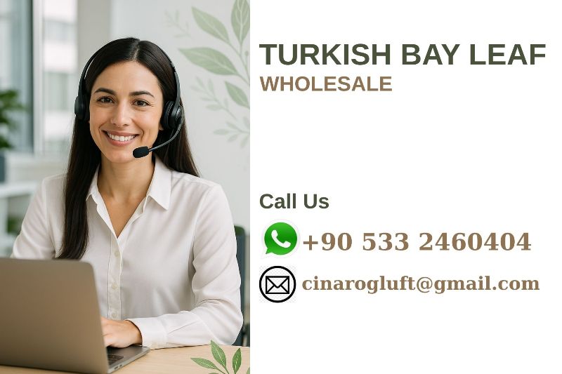 Turkish Bay Leaf Wholesale