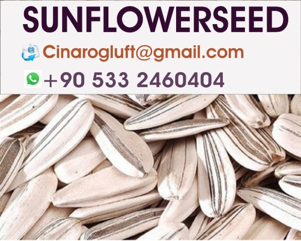 Turkey Sunflower Seeds