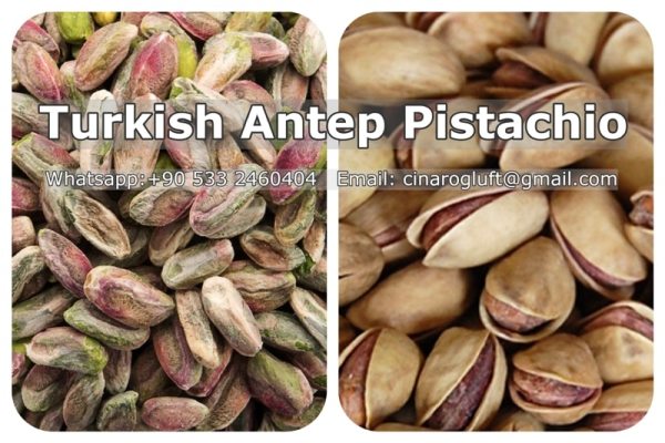 Turkish Pistachios Wholesaler