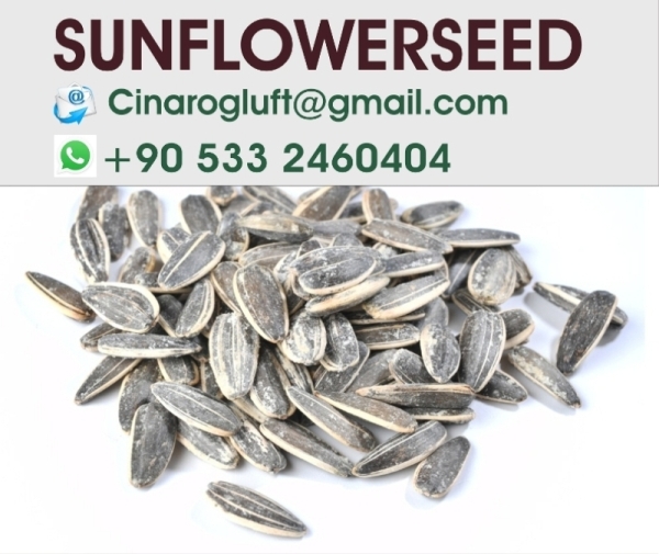 Turkish Sunflower Seeds