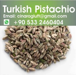 turkish pistachio kernel perfect green