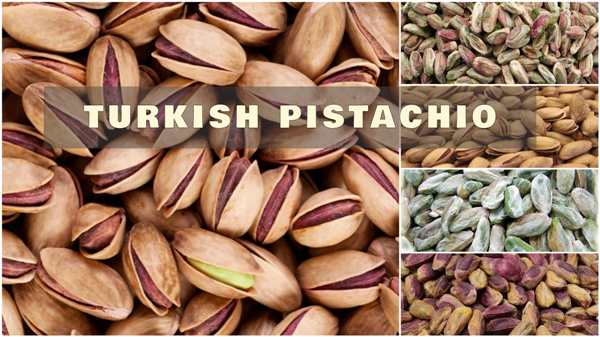 turkish pistachios wholesale
