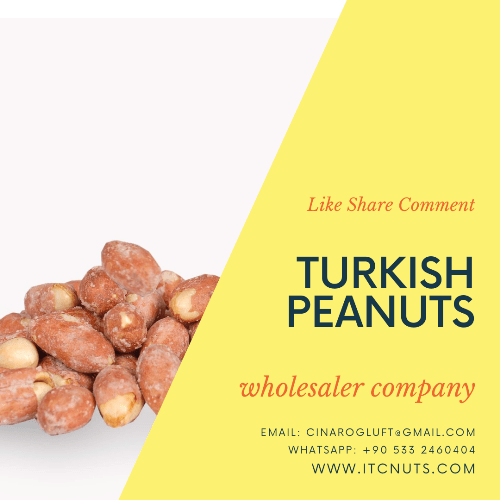 Roasted Turkish Peanuts Wholesaler