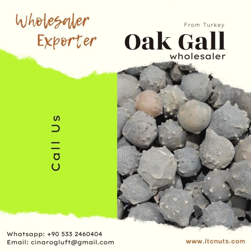 oak gall wholesaler