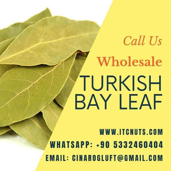 Best Turkish Bay Leaf Wholesale Company Located In Turkey