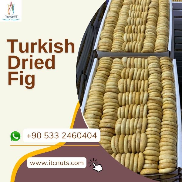 Turkish Dried Figs Wholesalers