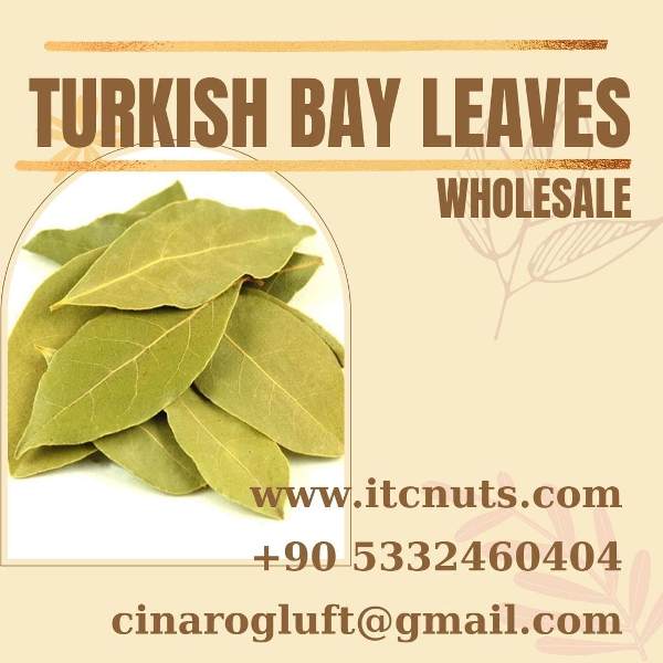 Turkish bay leaf wholesale price per kg USA - bulk discounts for 25kg+ orders Best bay leaf wholesale price per kg near me with global shipping from Turkey