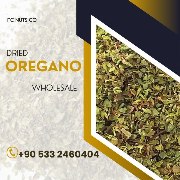 Map highlighting top oregano-exporting countries like Turkey, Mexico, and Egypt with export trade routes illustrated.