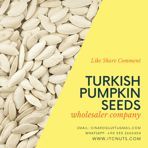Export Turkish Pumpkin Seeds