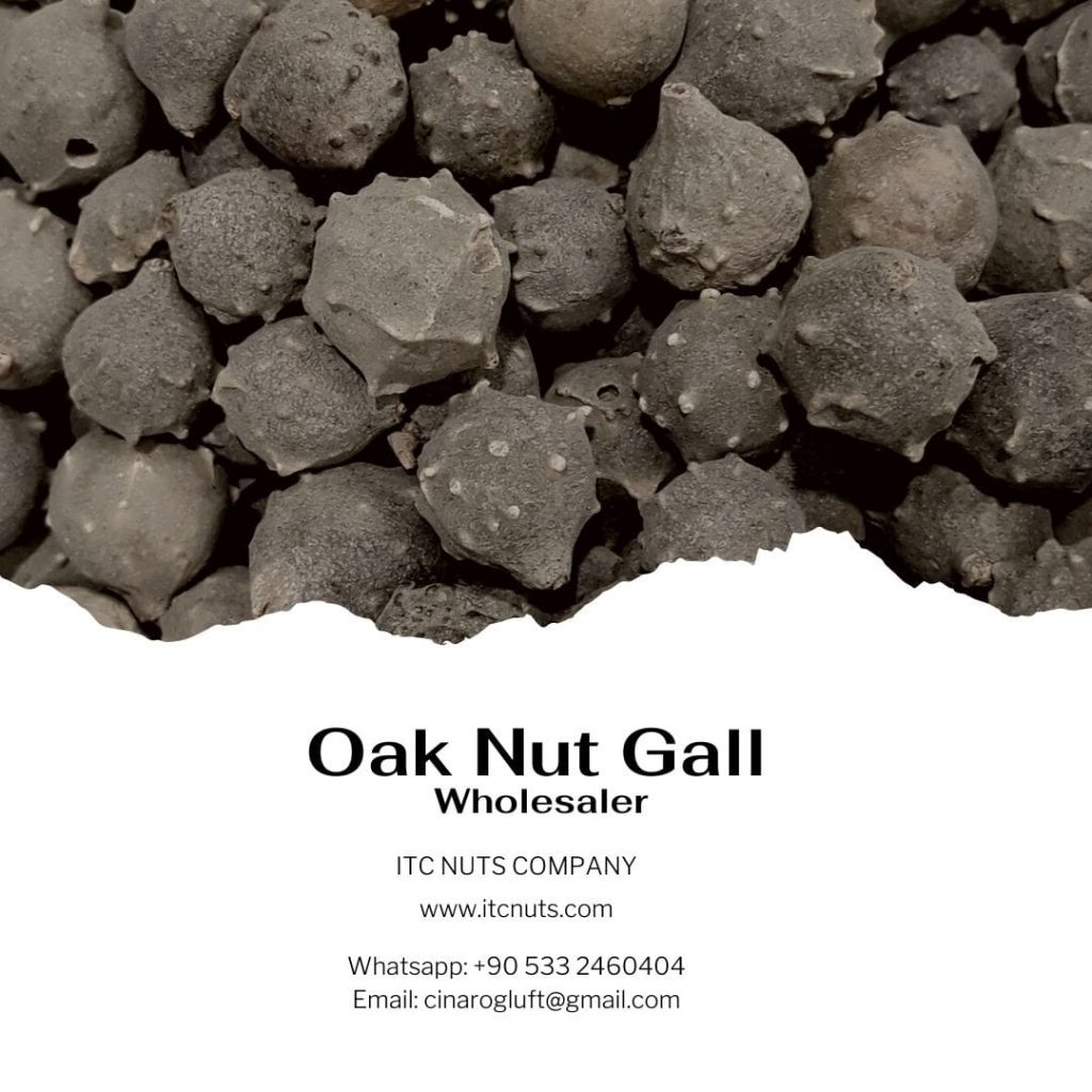 Oak Nut Gall Wholesaler