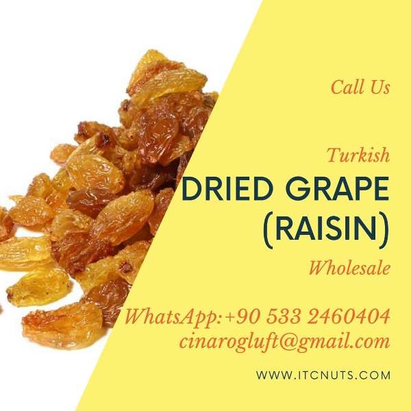 dried grape raisin wholesale
