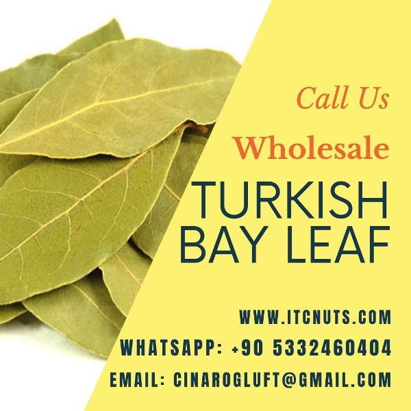 Turkish Bay Leaves Benefits Are Uncountable, Best quality Turkish Bay Leaves Wholesale